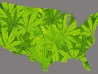 Marijuana Legalization Around the World Pros and Cons