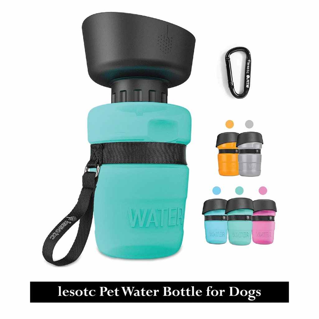 Bottle for dogs