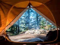 Top 4 High-Quality Family Tents for Camping
