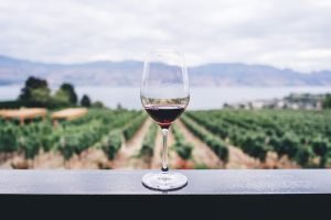 Wine types