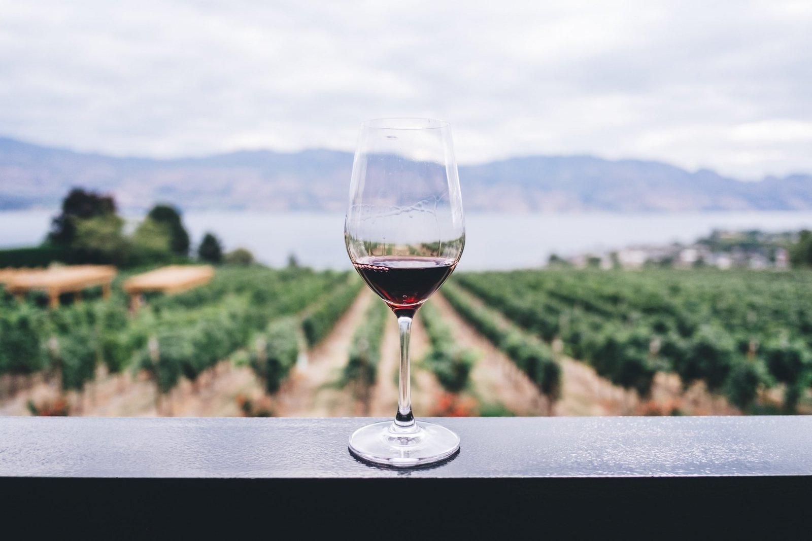 Read more about the article 7 Cool Wine Types You Didn’t Know Existed
