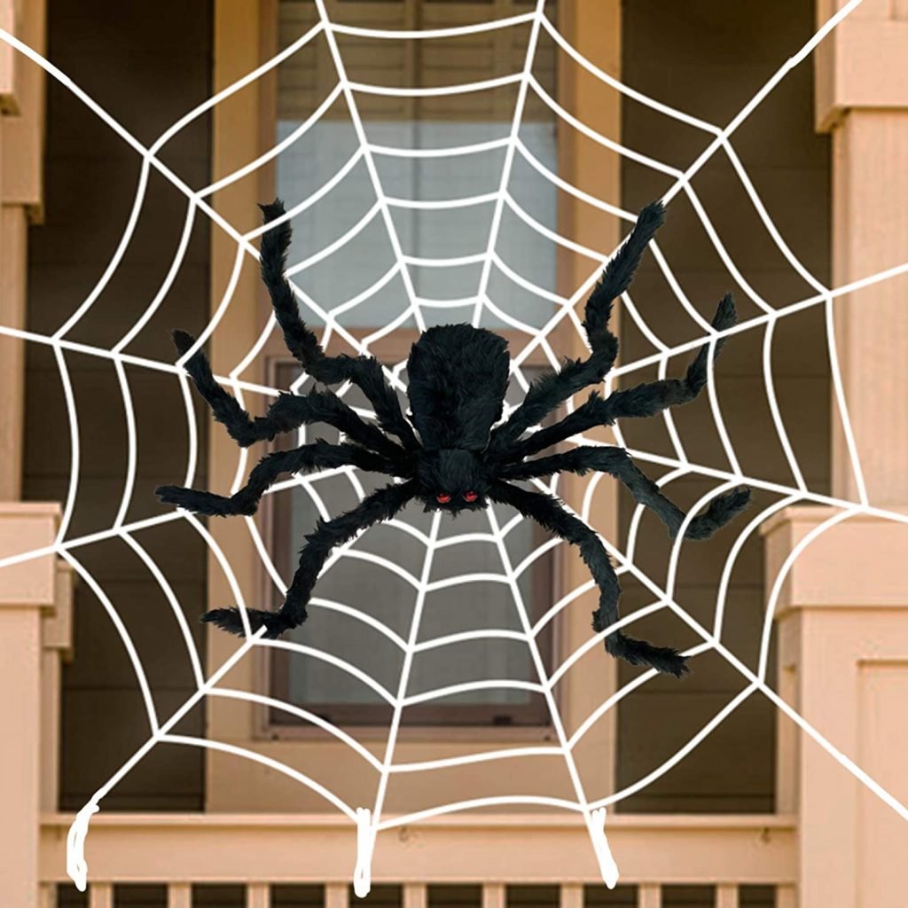 Halloween Spider